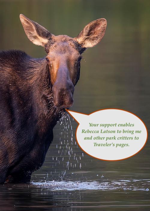 Support National Parks Traveler.