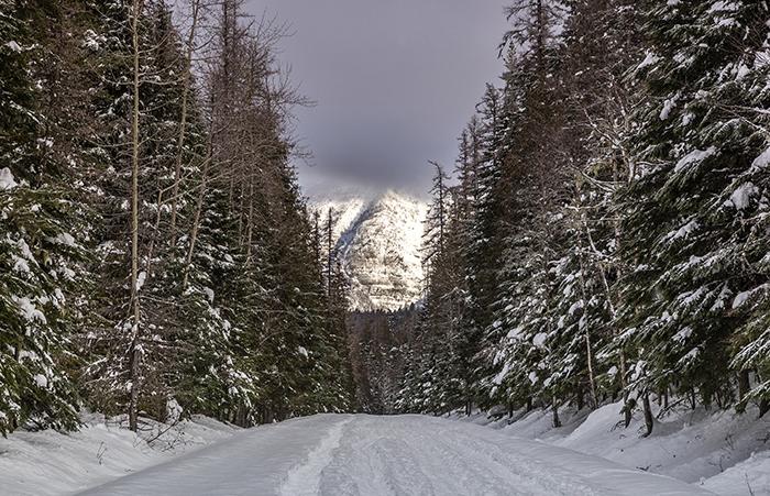 Going-To-The-Sun Road in the winter, Glacier National Park / Rebecca Latson