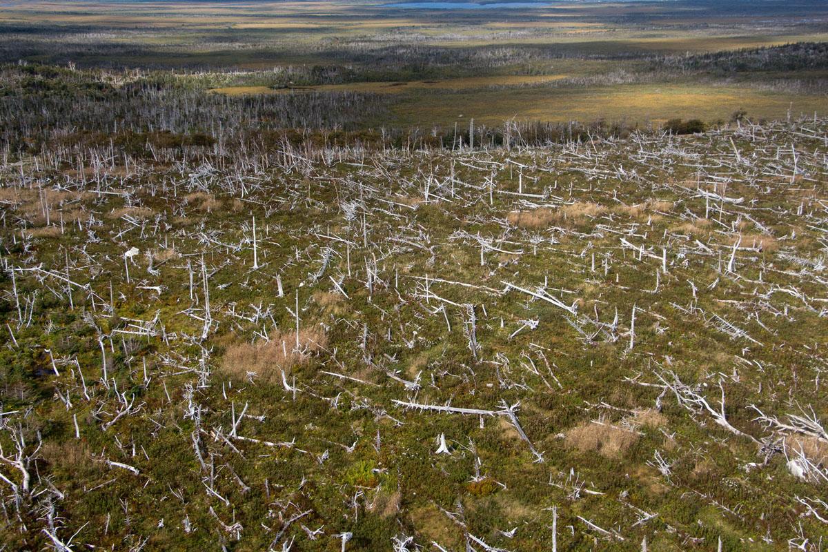 An aerial view of impacted landscape at Gros Morne National Park.
