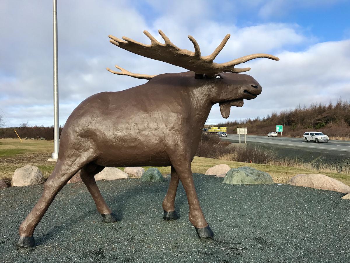 A sculpture of a moose along a highway in Newfoundland.