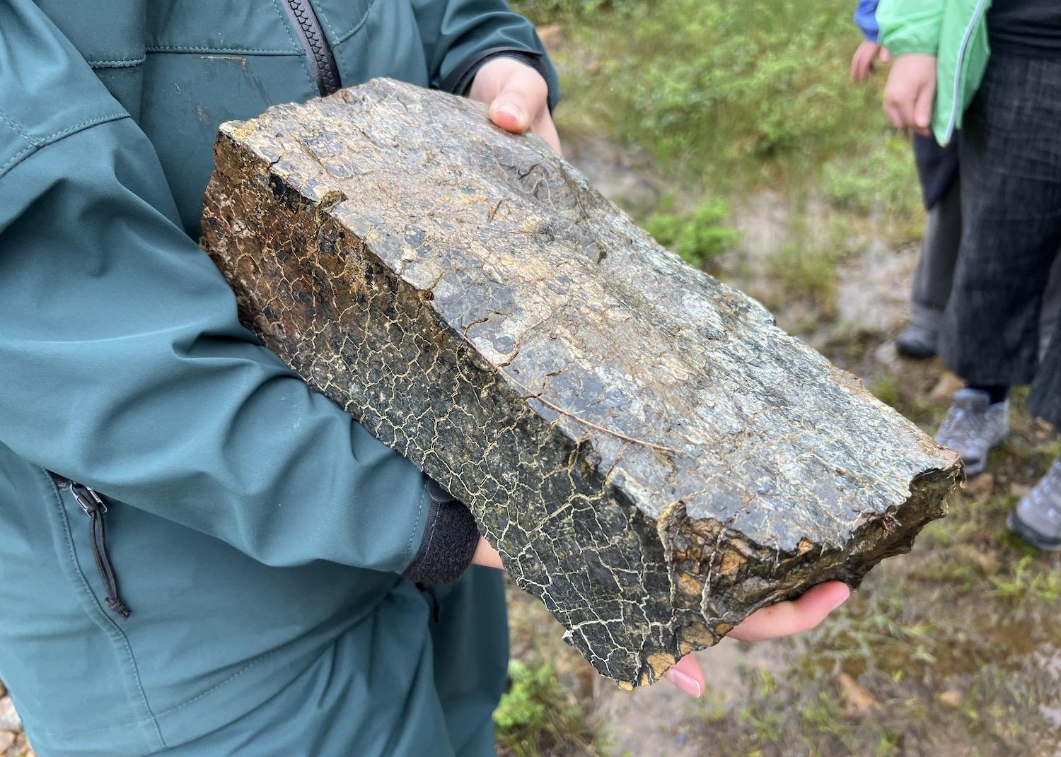 The metamorphism of peridotite to serpentinite — which looks like snakeskin — is still taking place inside the Tablelands.