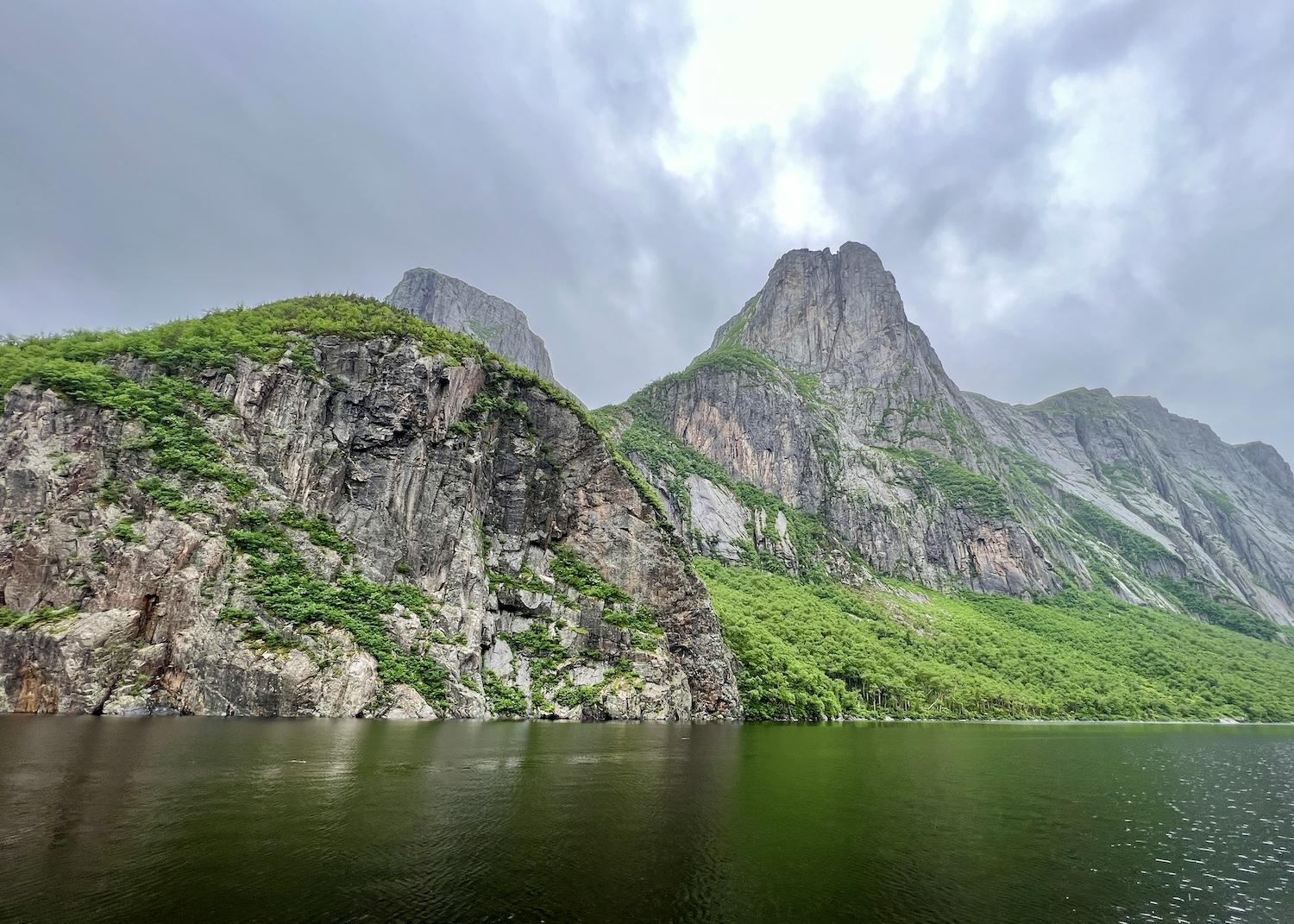 A view from a boat tour of some of the cliffs along Western Brook Pond.