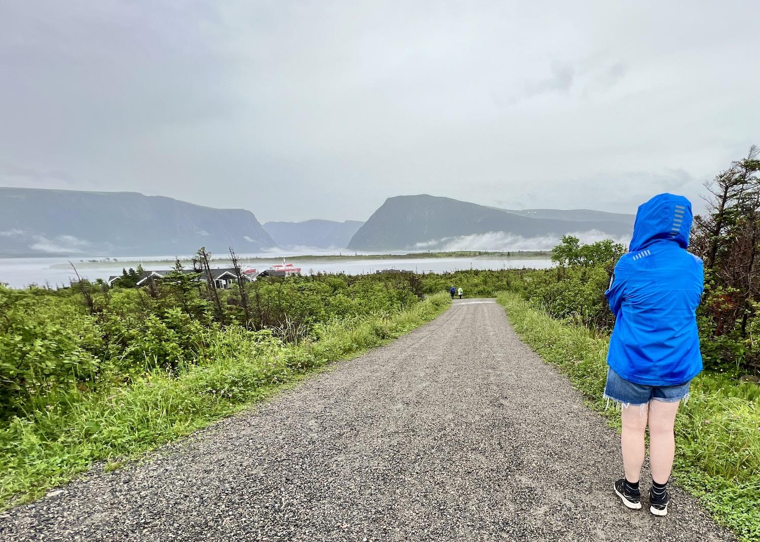 Walking Western Brook Pond Trail, you will eventually see the landlocked freshwater fjord and the dock area where BonTours operates its boat trips.