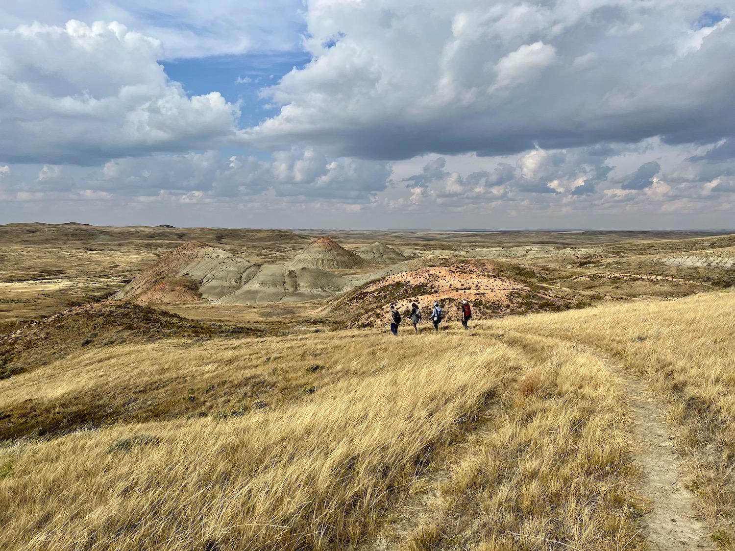 When you get to the Apple Core on the Valley of 1000 Devils, look for unmarked path into the badlands to get to the ledge and Pride Rock.