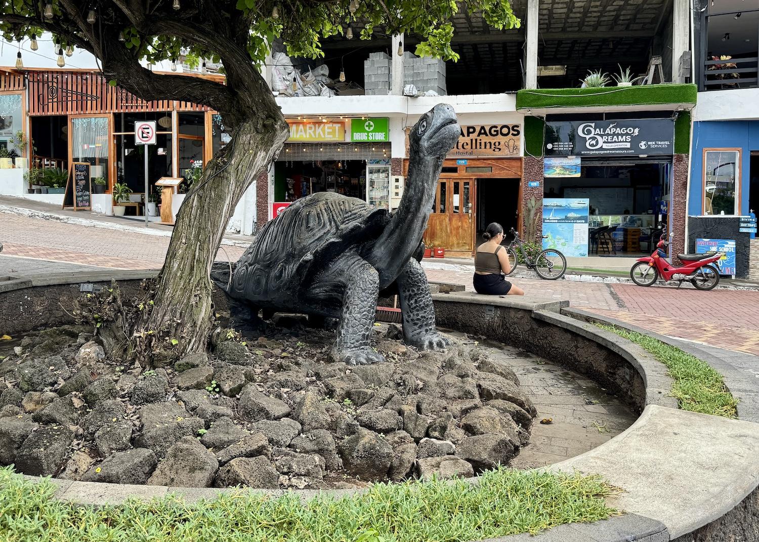 People are surprised to learn that 33,000 people live in the Galápagos, many in the city of Puerto Ayora. People are surprised to learn that 33,000 people live in the Galápagos, many in the city of Puerto Ayora.