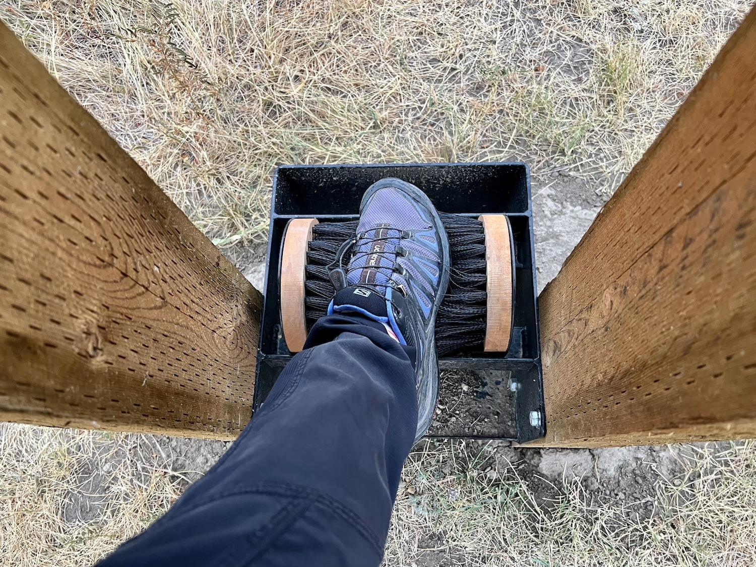Trail users are encouraged to clean their footwear so they don't track invasive species in or out of the area.