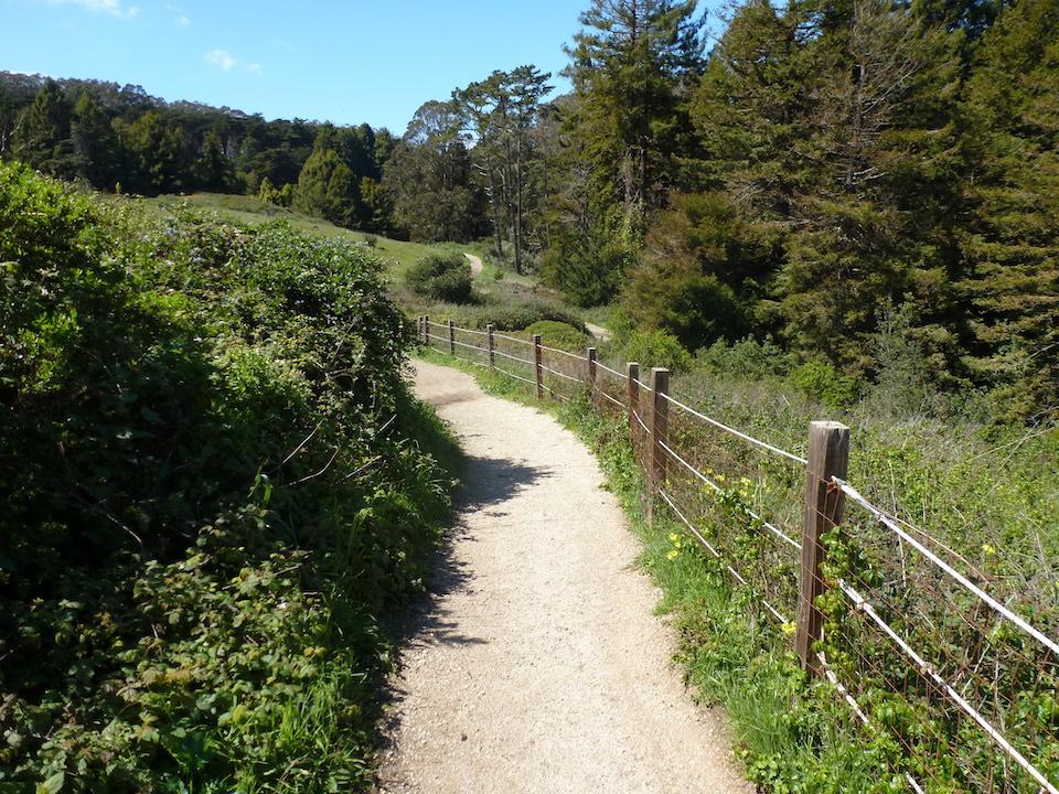 There are 24 miles of hiking trails at the Presidio/David and Kay Scott