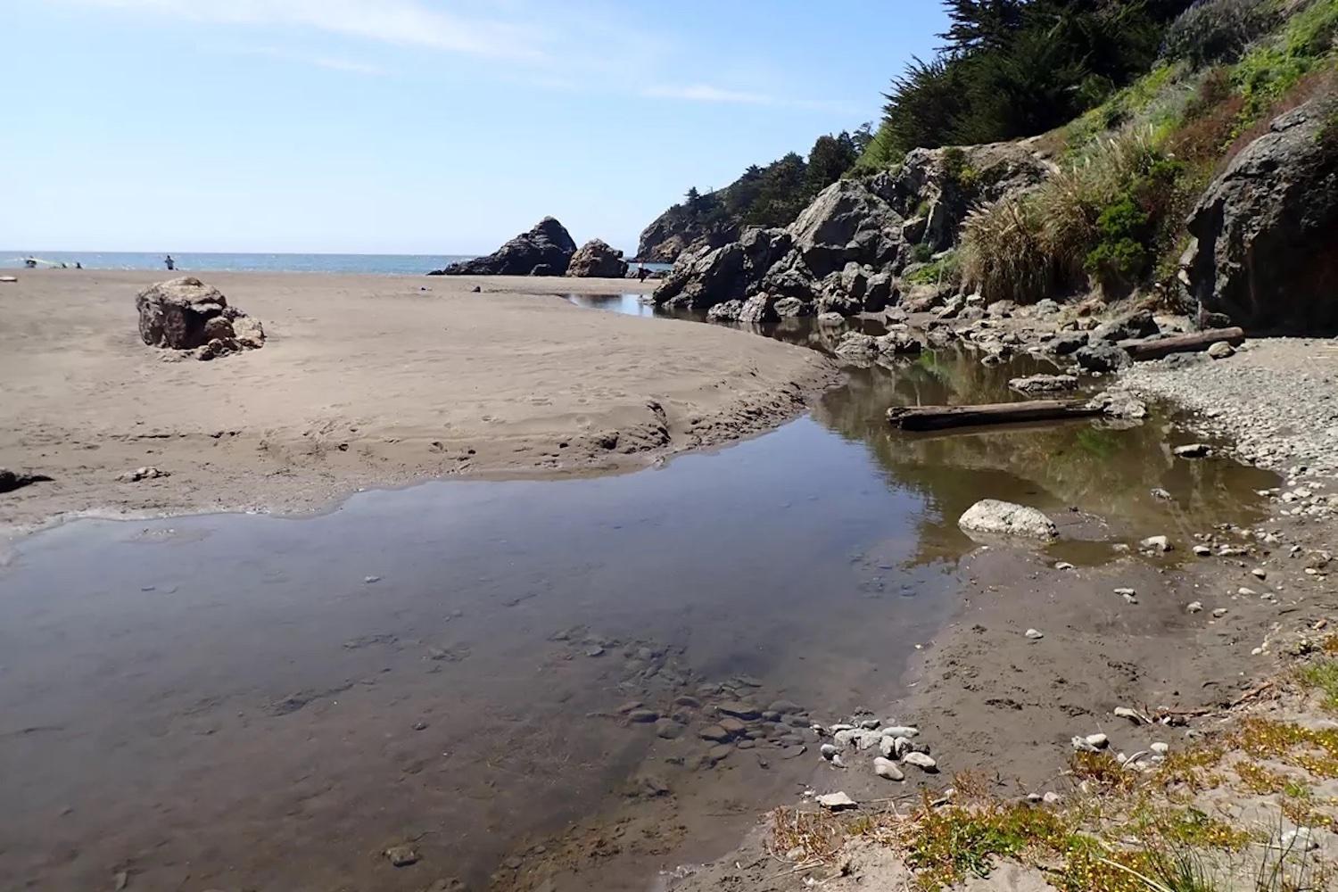 A stream channel links the lagoon and the ocean at Muir Beach, near Redwood Creek. NPS