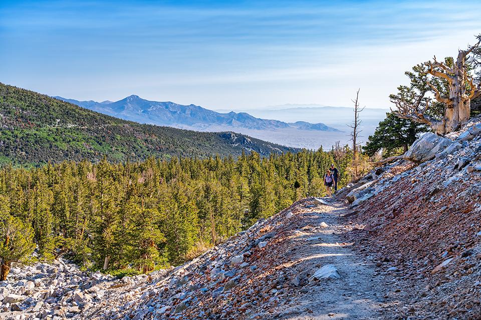 Hiking up the Bristlecone Grove Trail, Great Basin National Park / Rebecca Latson