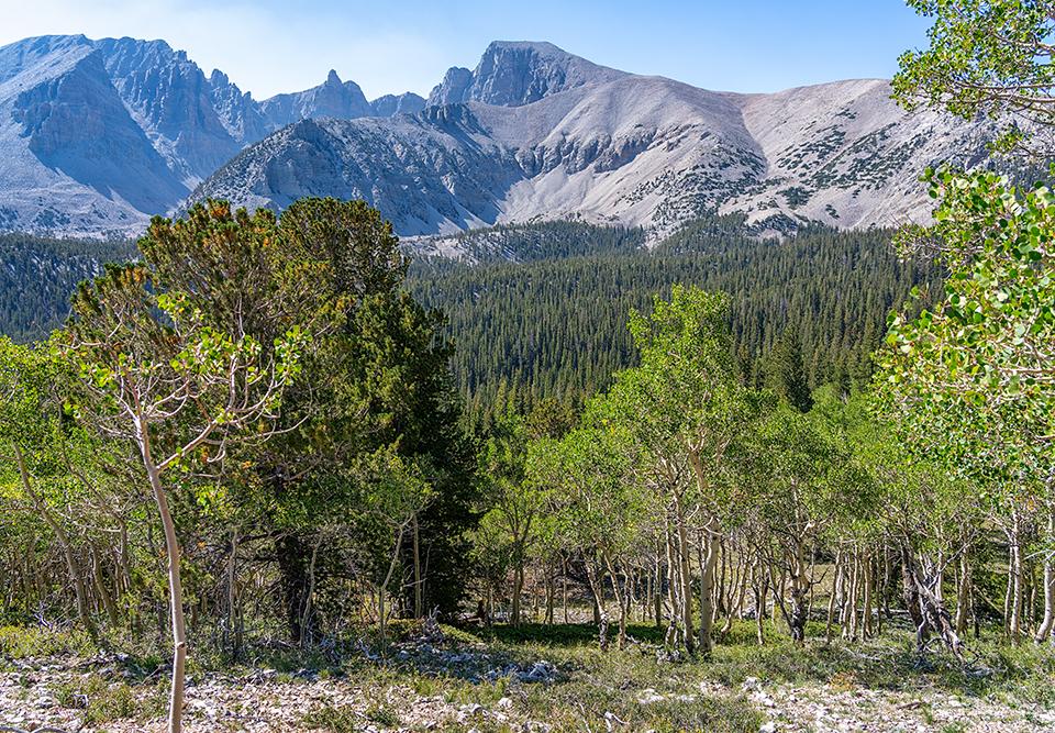 The view along the trail to Stella Lake, Great Basin National Park / Rebecca Latson