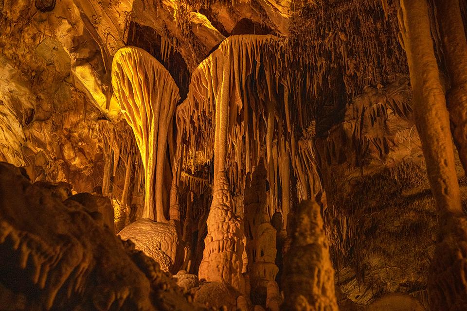 "Cave shield" speleothems in Lehman Caves, Great Basin National Park / Rebecca Latson