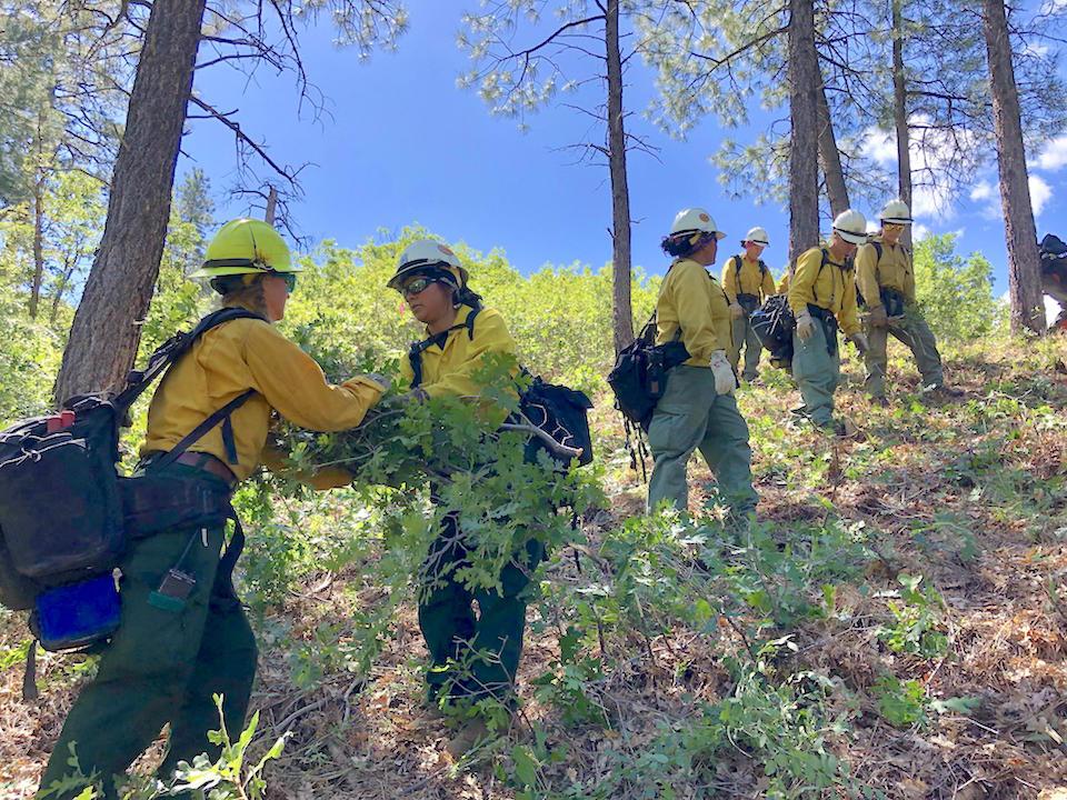 Women in Wild Fire Crew#3 clearing brush along the perimeter of the Ikes Fire Planning Area.