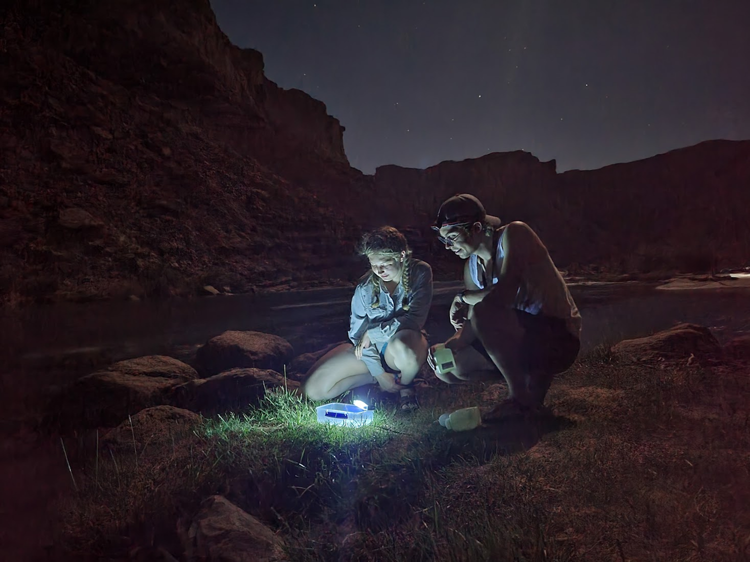 Community scientists deploy a light trap to sample aquatic insects along the Colorado River in Grand Canyon.