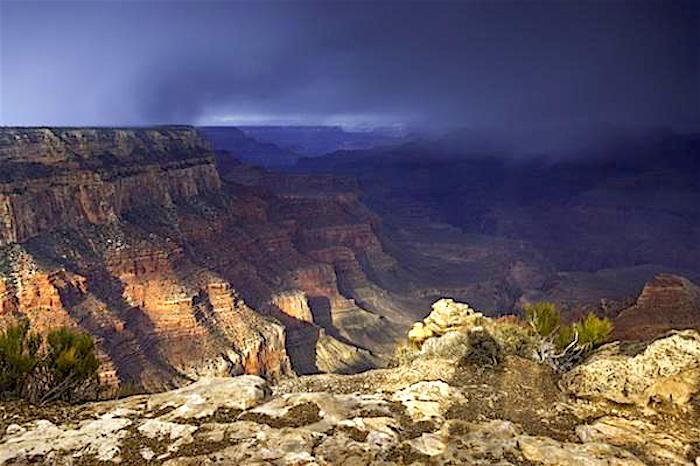 Spring snowstorm near Yaki Point In Grand Canyon National Park/Rebecca Latson