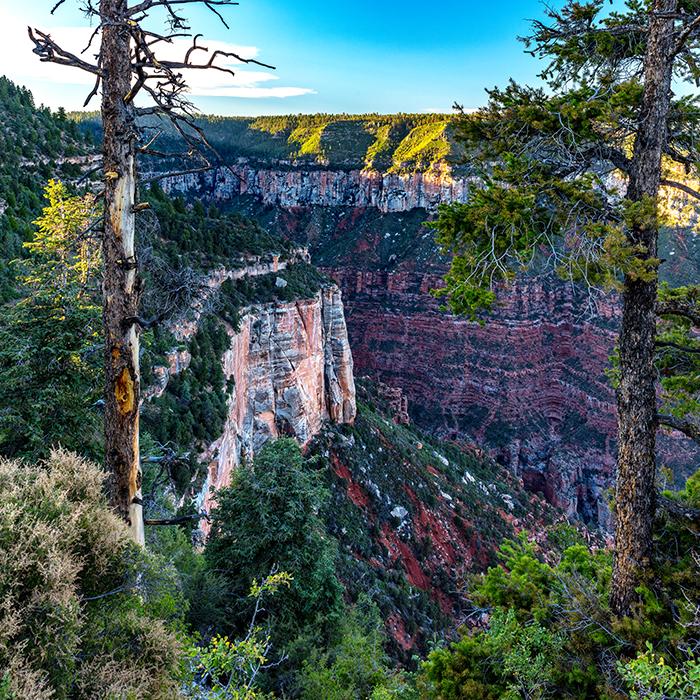 A view along Bright Angel Point trail, North Rim, Grand Canyon National Park / Rebecca Latson