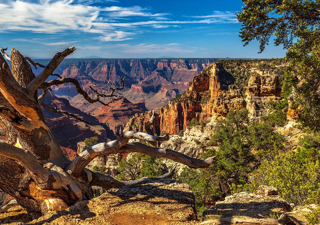 The view at Walhalla Overlook, North Rim, Grand Canyon National Park / Rebecca Latson