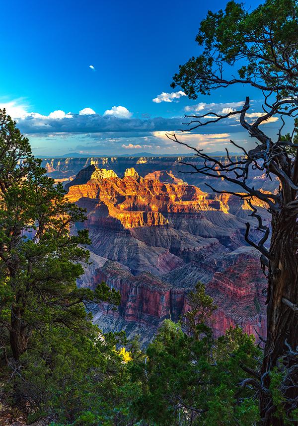 A natural frame around North Rim scenery, Grand Canyon National Park / Rebecca Latson