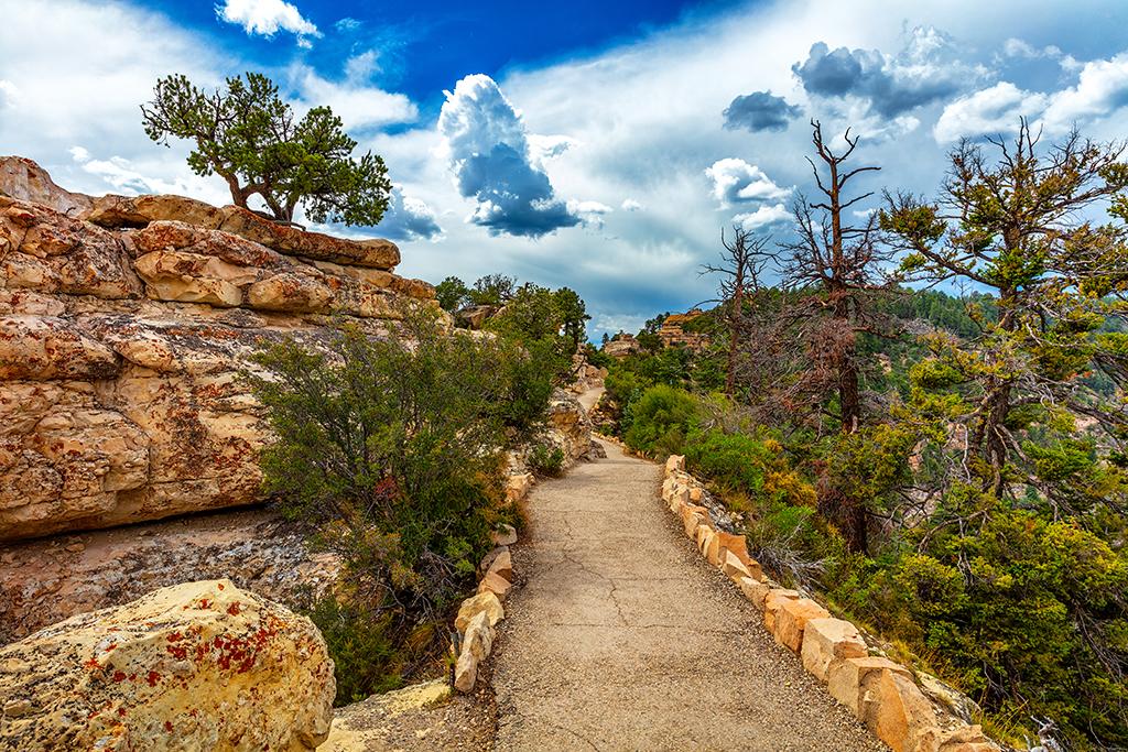 Hiking the Bright Angel Point trail, North Rim, Grand Canyon National Park / Rebecca Latson