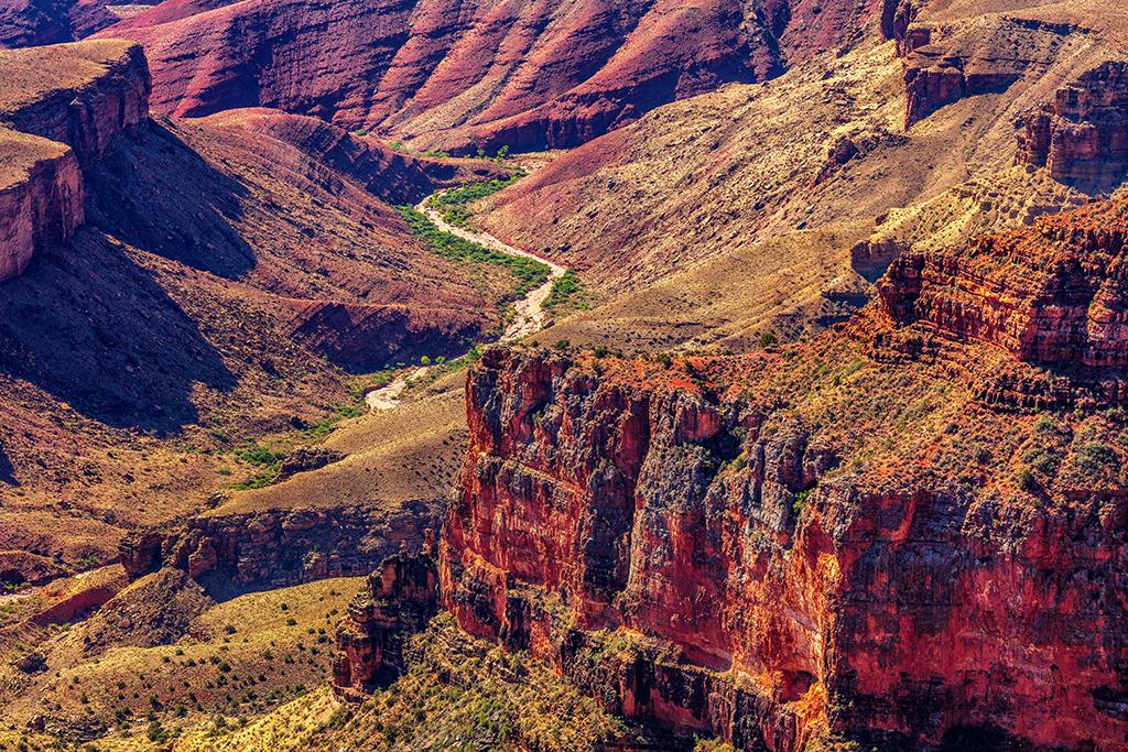 Interior canyon scenery at Walhalla Overlook, North Rim, Grand Canyon National Park / Rebecca Latson