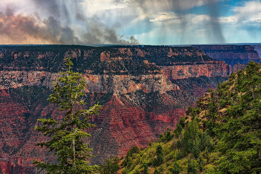 Forest fires and thunderstorms on the North Rim, Grand Canyon National Park / Rebecca Latson