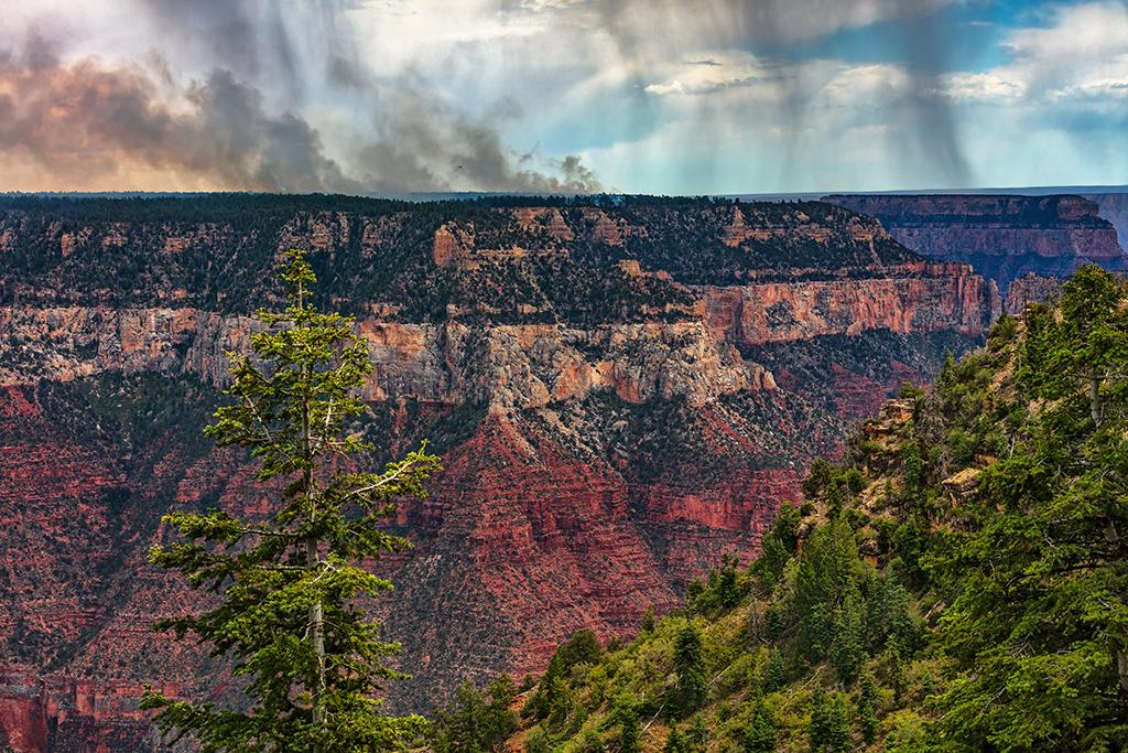 Forest fires and summer monsoons along the North Rim, Grand Canyon National Park / Rebecca Latson