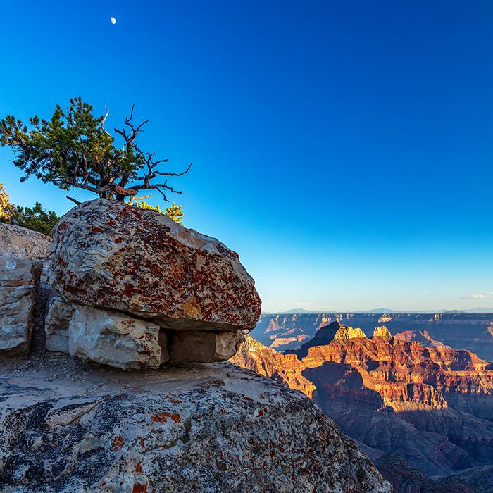Sunset and moonrise at the North Rim - Crop #2, Grand Canyon National Park / Rebecca Latson