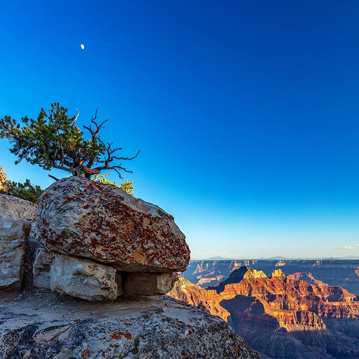 Sunset and moonrise at the North Rim - Crop #1, Grand Canyon National Park / Rebecca Latson