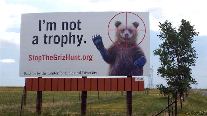 Billboards oppose grizzly bear hunts in Wyoming and Idaho/Center for Biological Diversity