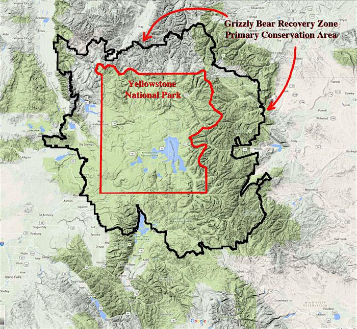 Proposed grizzly protection zone around Greater Yellowstone Ecosystem/Daryl Hunter