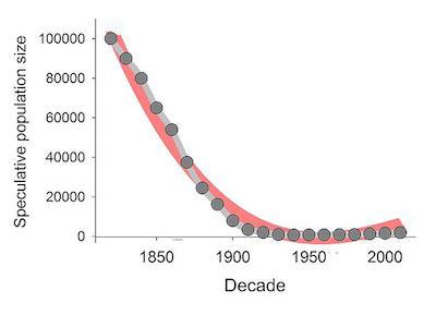 Grizzly bear population trends since 1850s