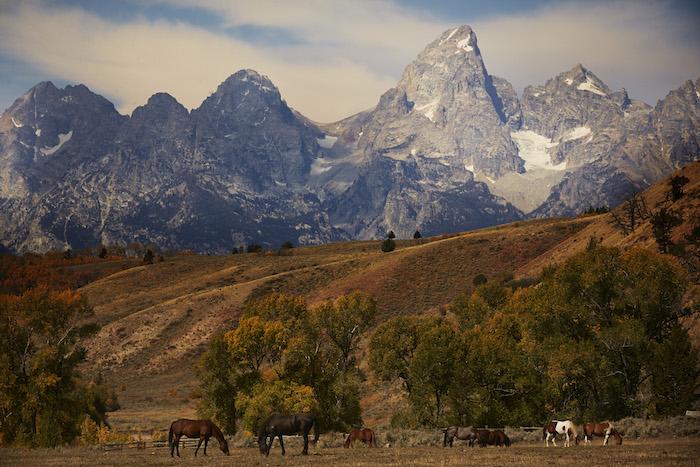 The Gros Ventre Mountains and Grand Teton National Park tower over the Gros Ventre River Ranch / Dude Ranchers’ Association
