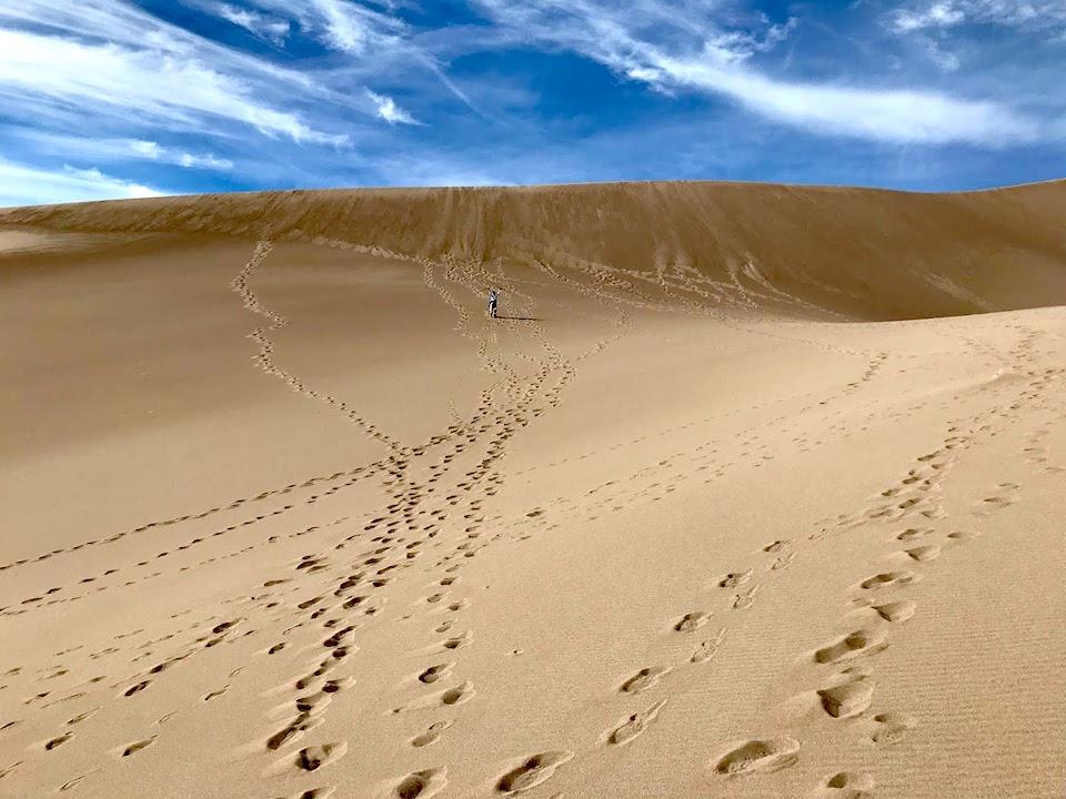The winds will erase the tracks of those that came to the dunes/Jim Stratton