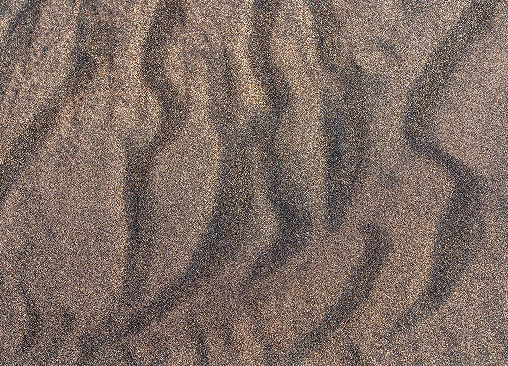 Ripples in the sand, Great Sand Dunes National Park and Preserve / Rebecca Latson