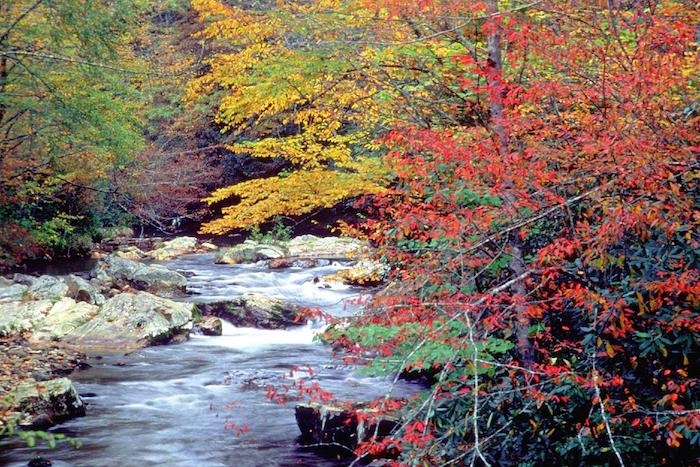 Fall along Cataloochee Creek in Great Smoky Mountains National Park/NPS