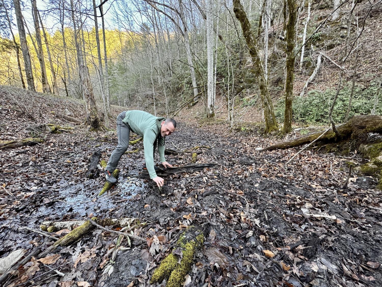 Biodiversity scientist Ben Fitzpatrick, from the University of Tennessee, Knoxville, looks for salamanders along Tremont Road.