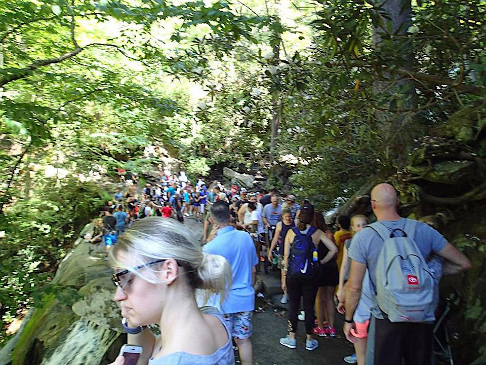 On the trail to Laurel Falls in Great Smoky Mountains National Park in July 2019/NPS