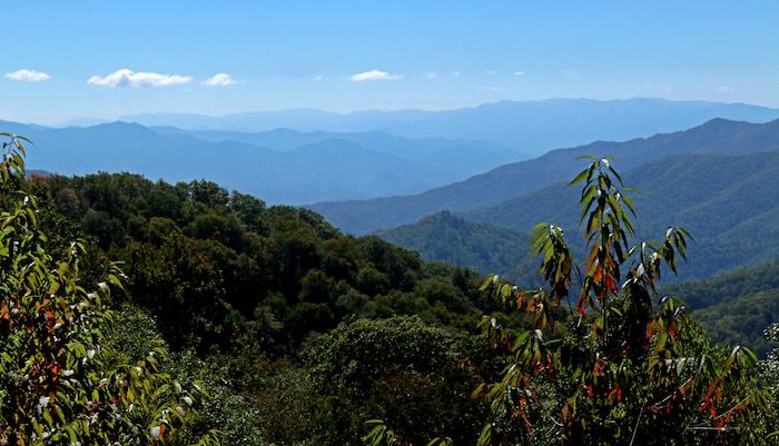 Great Smoky Mountains National Park Scenic/Erika Zambello