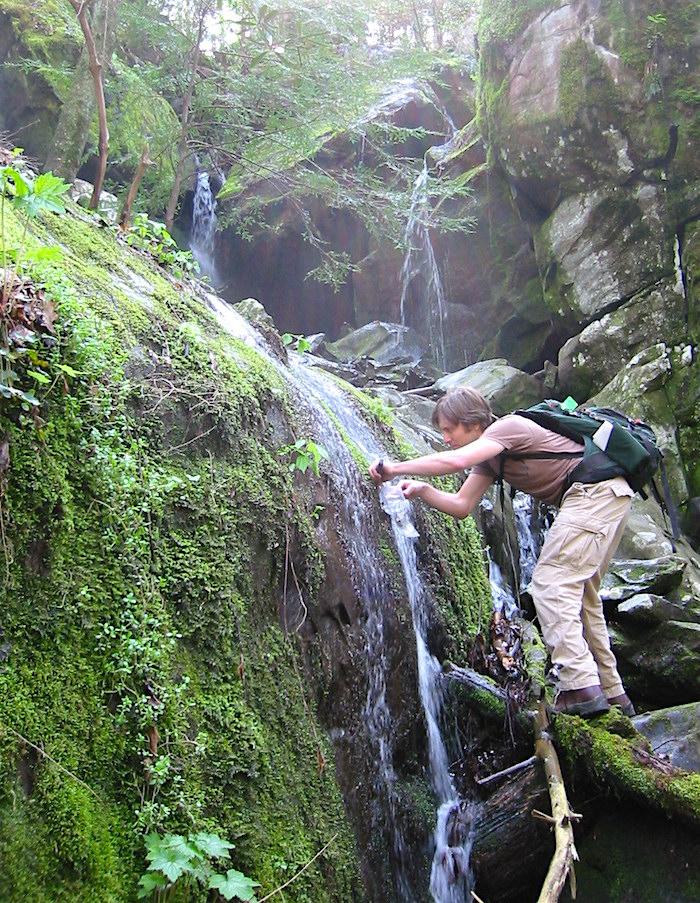 Collecting algae in Great Smoky Mountains National Park/NPS