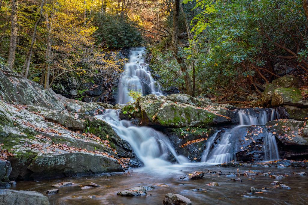 3)	In addition to attending creative workshops, conference attendees will join experienced Tremont naturalists for guided explorations of the surrounding national park. The scenic Spruce Flats Falls is a short walk from the Tremont campus. Provided by Joy