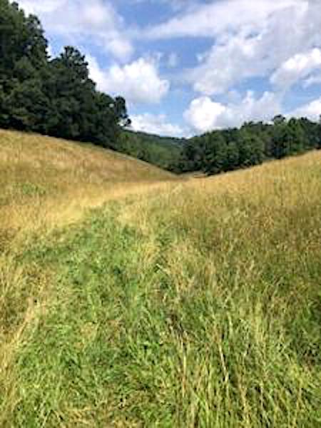 Great Smoky Mountains National Park staff is seeking public comment on a proposal to build a mountain bike course in the park/NPS file
