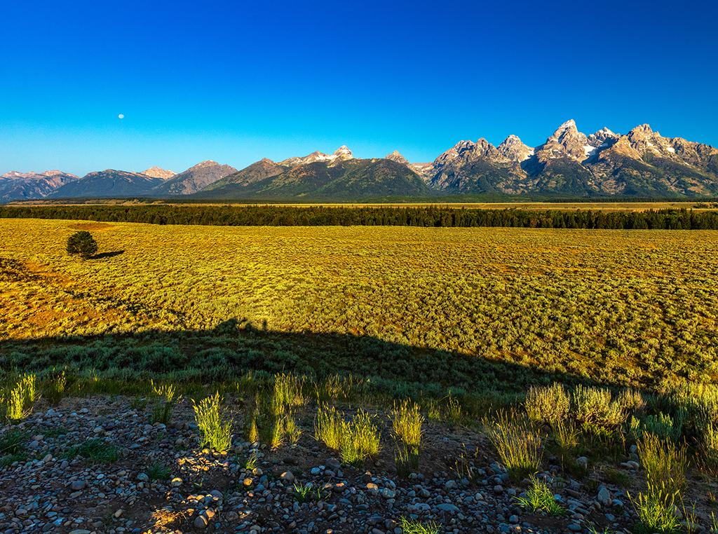 Mountains, valley and a shadowed selfie, Grand Teton National Park / Rebecca Latson