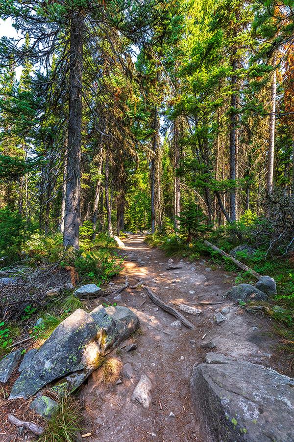 A quiet hike along the Jenny Lake Trail, Grand Teton National Park / Rebecca Latson