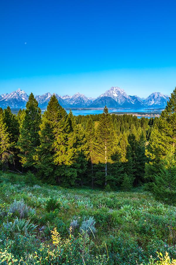 A morning view at the Signal Mountain summit, Grand Teton National Park / Rebecca Latson