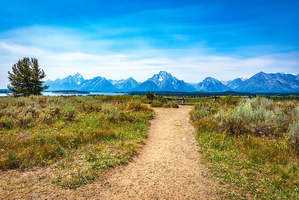 The view along Lunch Tree Hill Trail, Grand Teton National Park / Rebecca Latson