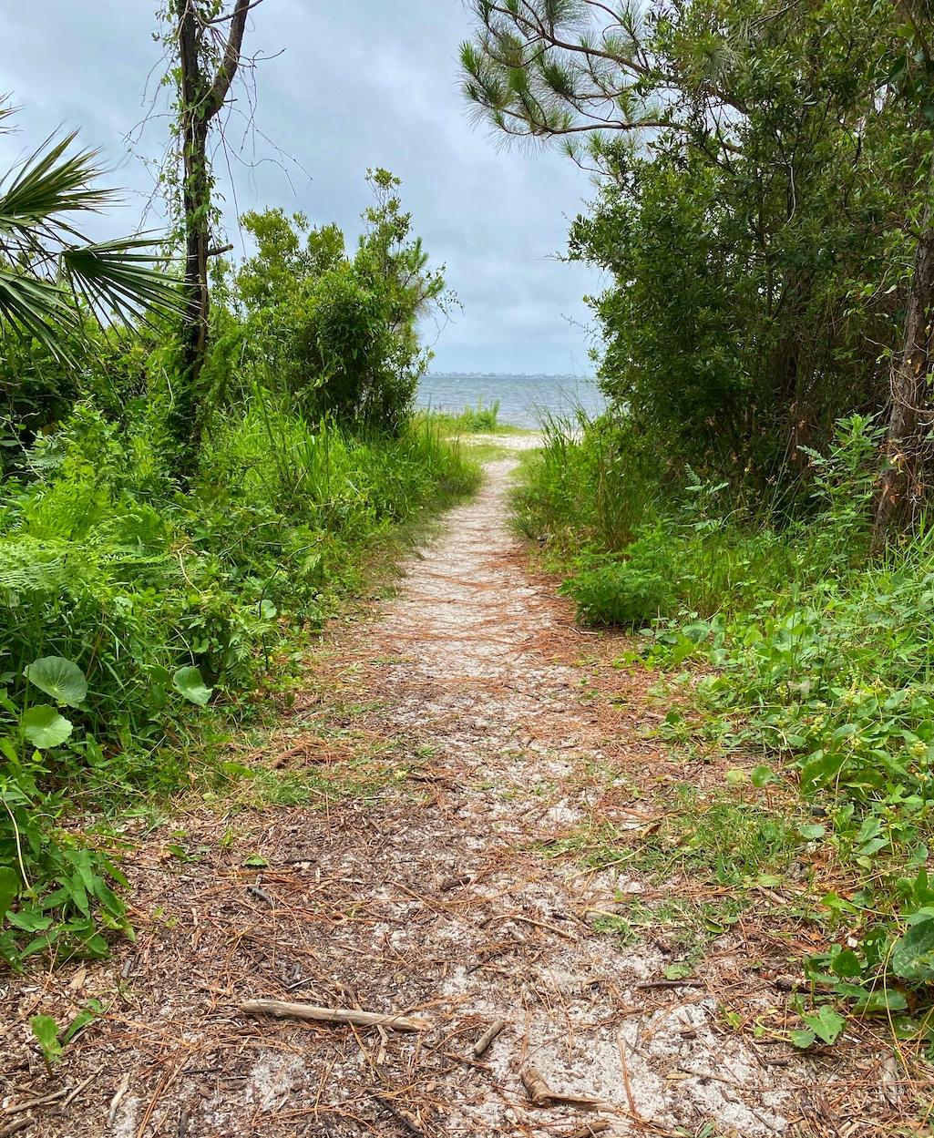 Live Oaks line this trail that leads to Pensacola Bay/Erika Zambello