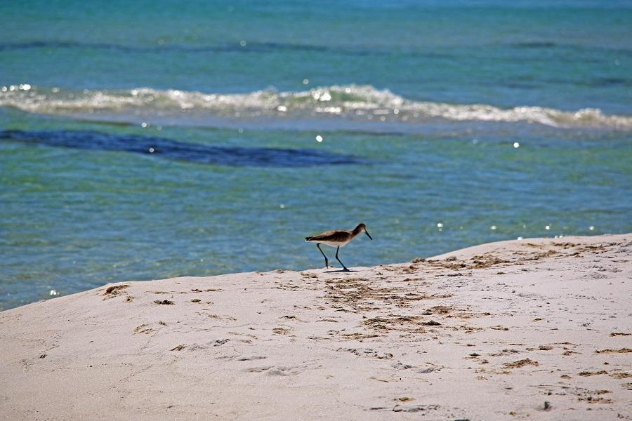 gulf islands national seashore, national park, florida, hurricane michael,  hurricane