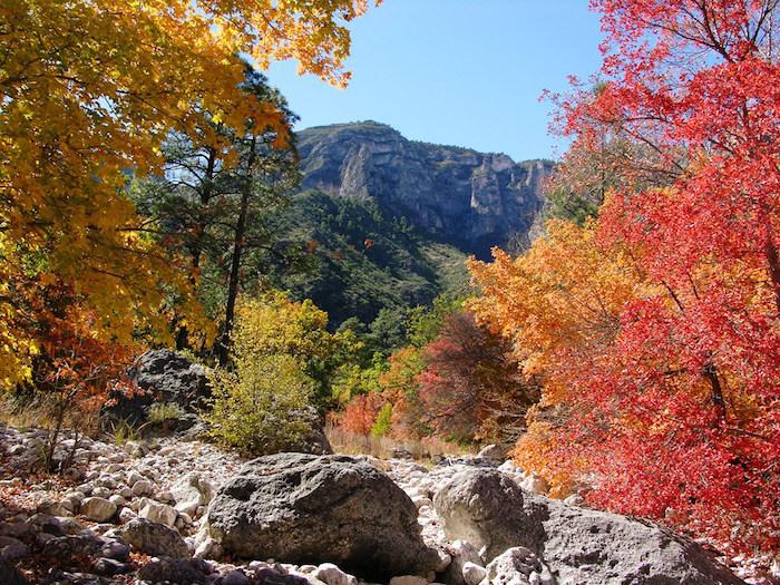 McKittrick Canyon is a popular spot for fall colors in Guadalupe Mountains National Park/NPS