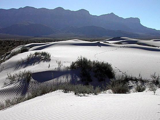 Gypsum dunes in the Salt Basin of Guadalupe Mountains National Park/NPS