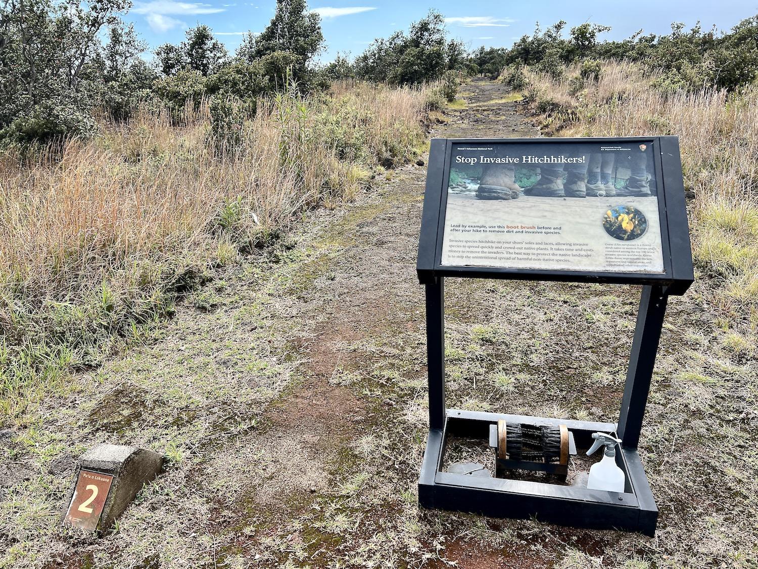To stop invasive hitchhikers, the National Park Service asks visitors to brush and clean their footwear on their way into and out of sensitive areas, like here at the Kahuku Unit of Hawaiʻi Volcanoes National Park.