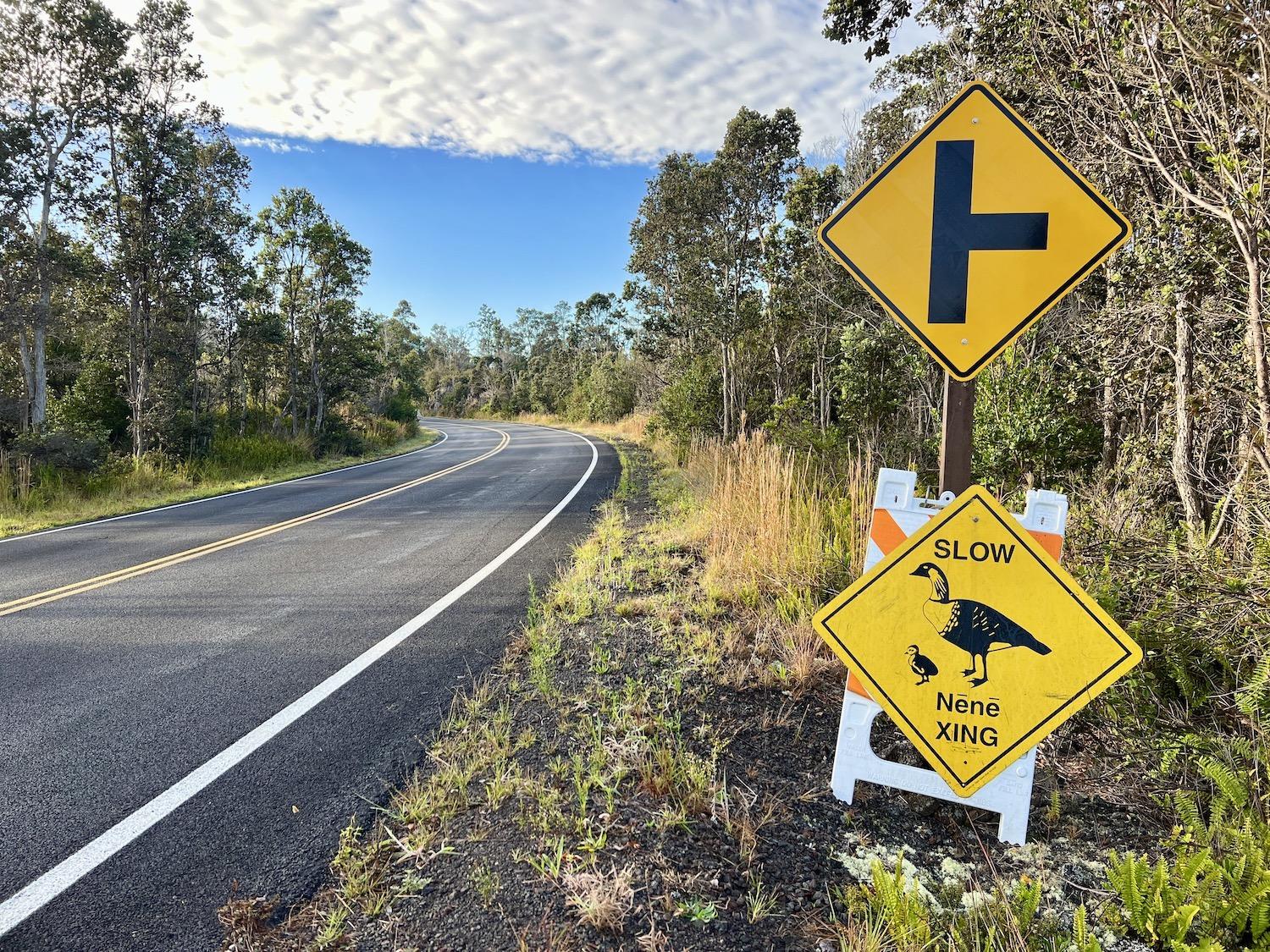 A variety of signs to protect nēnē can be found in Hawai‘i Volcanoes National Park.